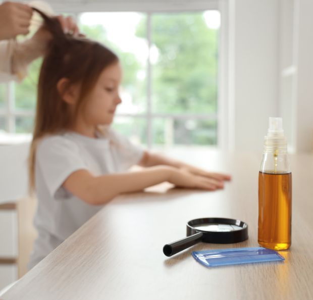 علاج القمل داخل العيادة في أبوظبي